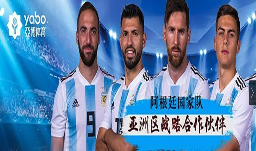 m6米乐平台体育